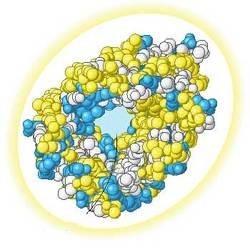 > </div>
<div class=